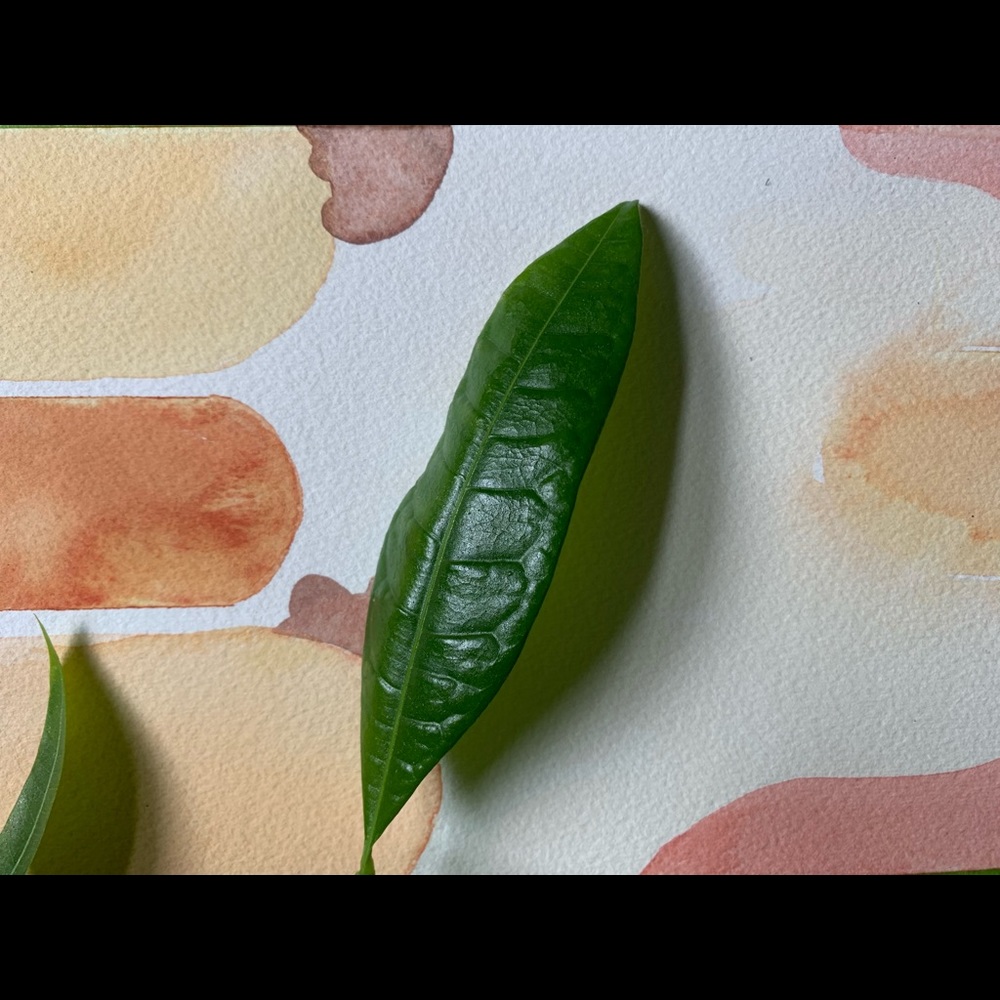 Meet your Posher, Essie